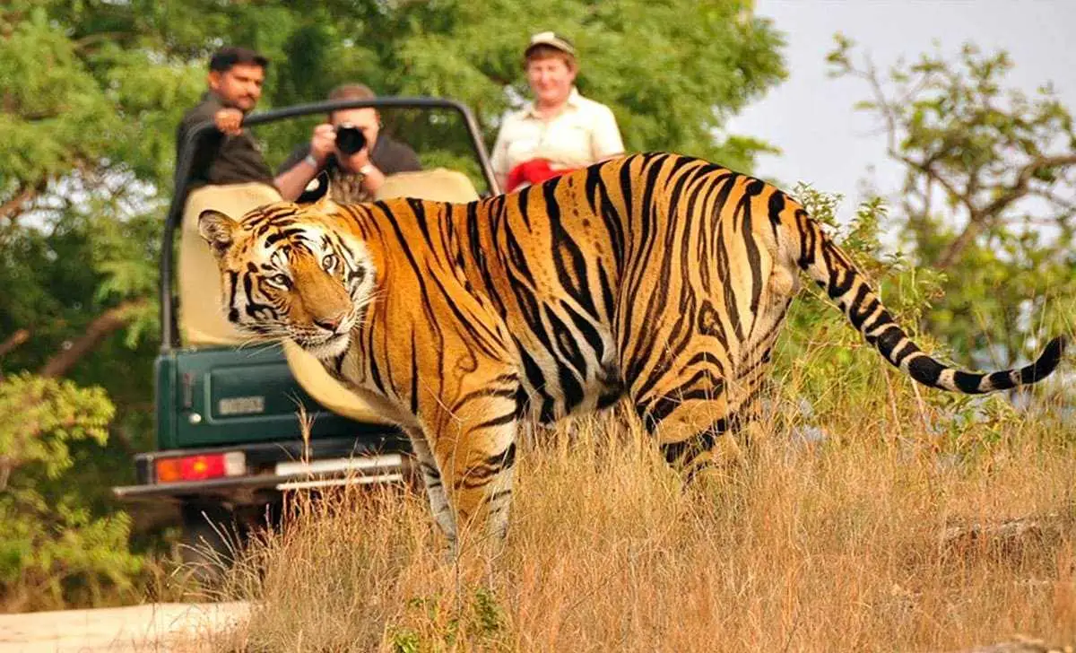 Tour image